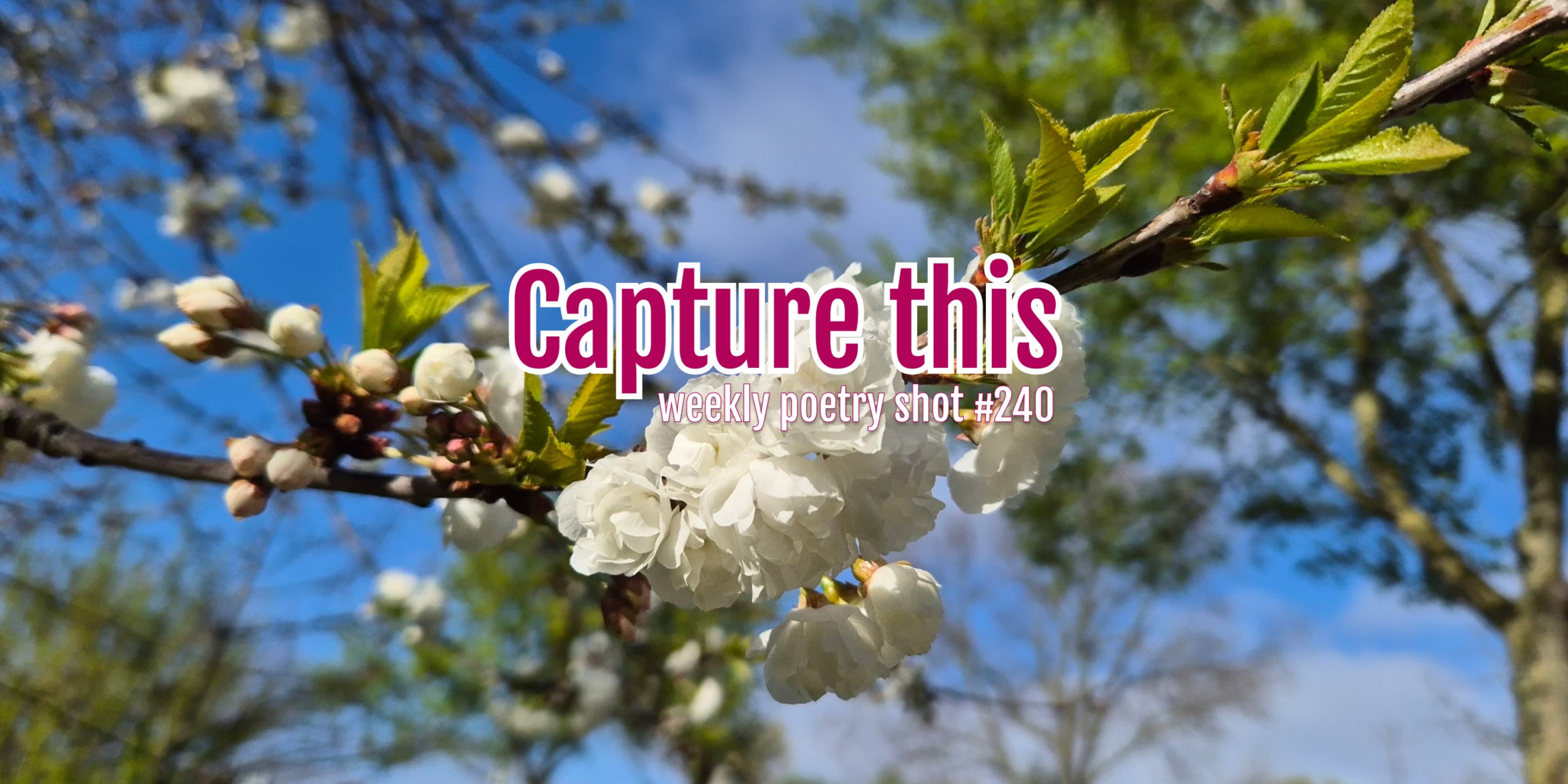 Cover photo